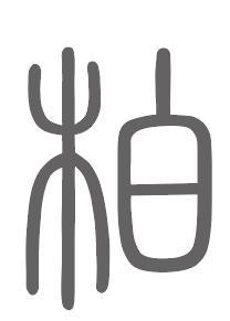 柏姓来源